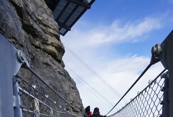 Thrill Walk, Birgの写真・動画_image_455707