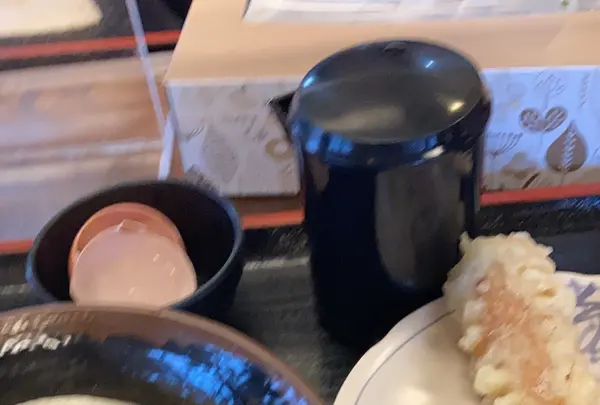 手打十段うどん バカ一代の写真・動画_image_455872
