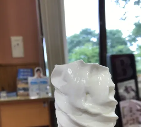 朝霧高原の写真・動画_image_456010