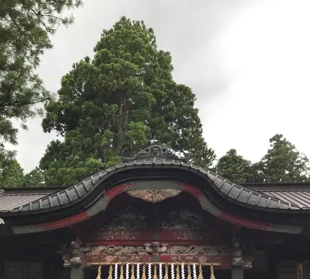 北口本宮冨士浅間神社の写真・動画_image_456025