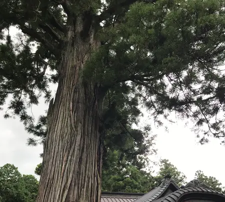 北口本宮冨士浅間神社の写真・動画_image_456027