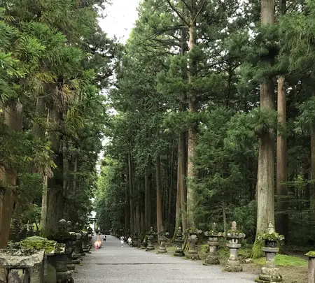 北口本宮冨士浅間神社の写真・動画_image_456028