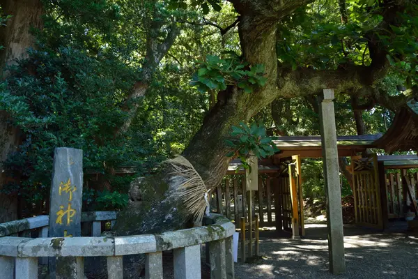 宗像大社の写真・動画_image_456410