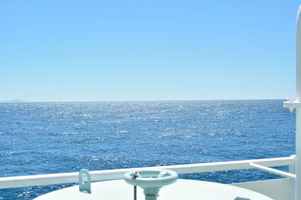 大島の写真・動画_image_456412