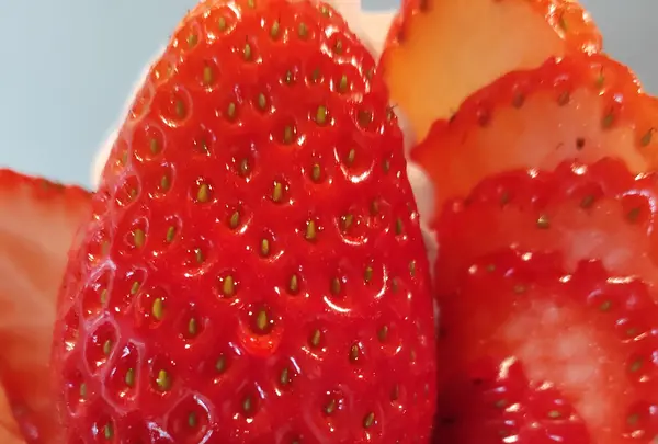プリンス オブ ザ フルーツ （PRINCE of the FRUIT ）の写真・動画_image_456425