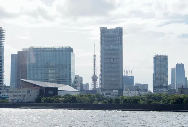 勝どき見晴らし公園の写真・動画_image_456738