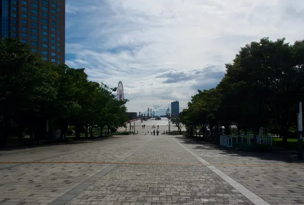 夢の大橋の写真・動画_image_456758