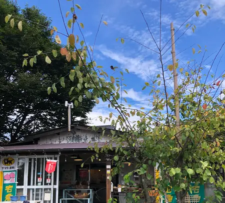 あんざい果樹園の写真・動画_image_456779