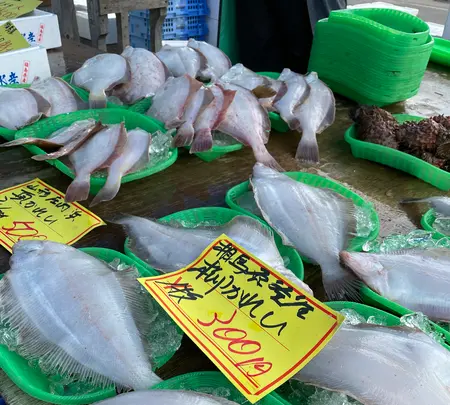 ゆりあげ港朝市の写真・動画_image_456899