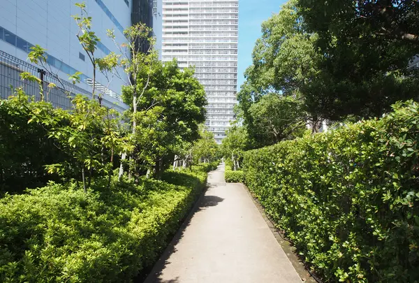 有明北緑道公園の写真・動画_image_457174