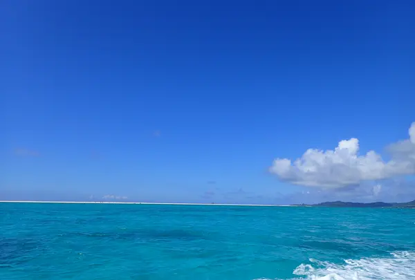 ハテの浜の写真・動画_image_457375