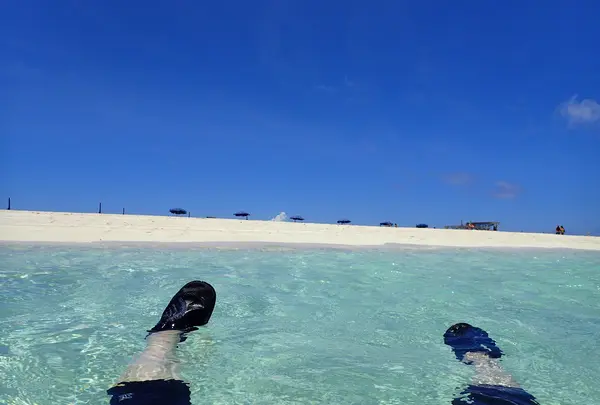 ハテの浜の写真・動画_image_457376