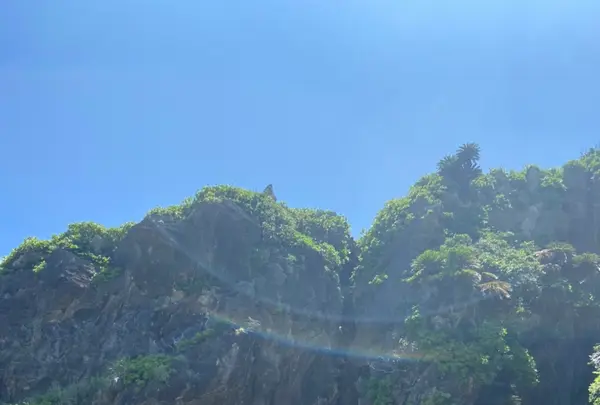 ミーフガーの写真・動画_image_457391