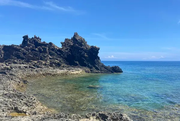 ミーフガーの写真・動画_image_457392