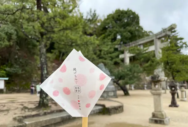 揚げもみじの紅葉堂 弐番屋の写真・動画_image_457394