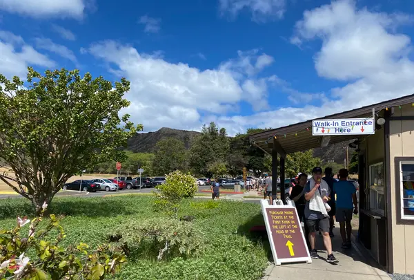 ダイアモンドヘッドを登ろう！の写真・動画_image_457436