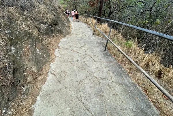 ダイアモンドヘッドを登ろう！の写真・動画_image_457438