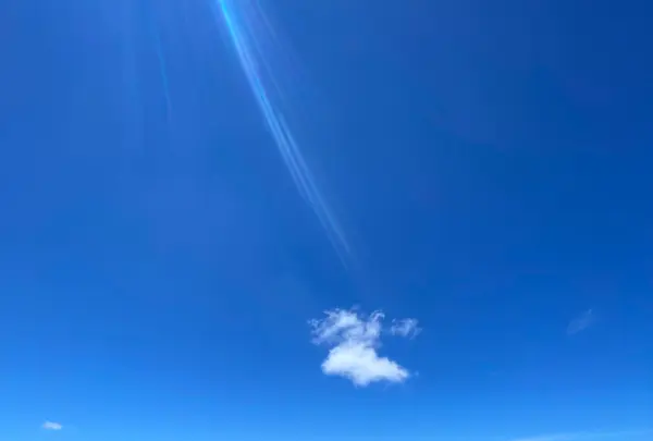 ダイアモンドヘッドを登ろう！の写真・動画_image_457441