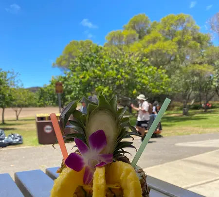 ダイアモンドヘッドを登ろう！の写真・動画_image_457443