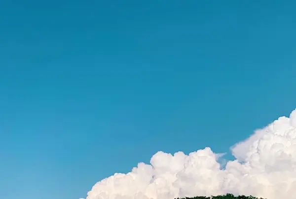 長野県立美術館の写真・動画_image_457496