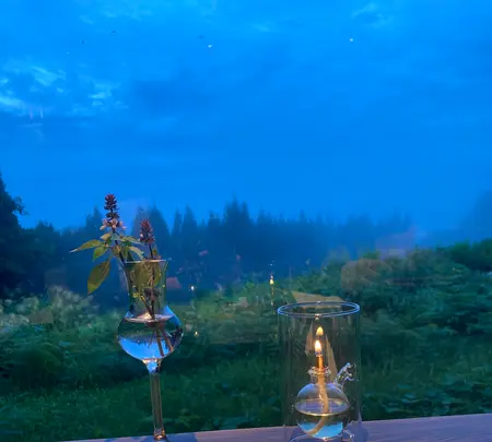 醸す森の写真・動画_image_457541