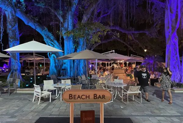 ザ ビーチ バーの写真・動画_image_457641