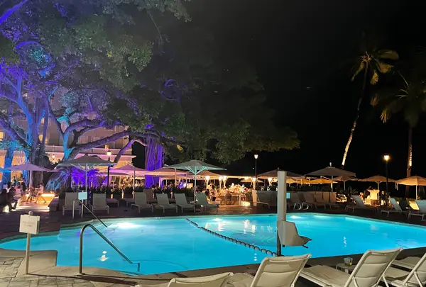 ザ ビーチ バーの写真・動画_image_457642