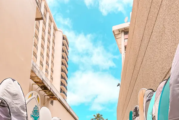 Banan Waikiki Beach Shackの写真・動画_image_457659