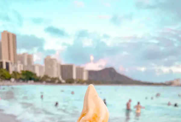 Banan Waikiki Beach Shackの写真・動画_image_457660