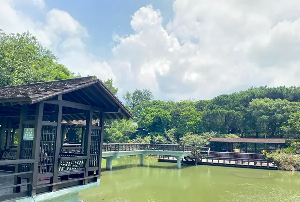 湖畔生活の写真・動画_image_457681