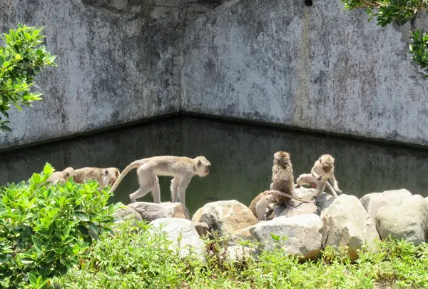 新竹市立動物園の写真・動画_image_457776