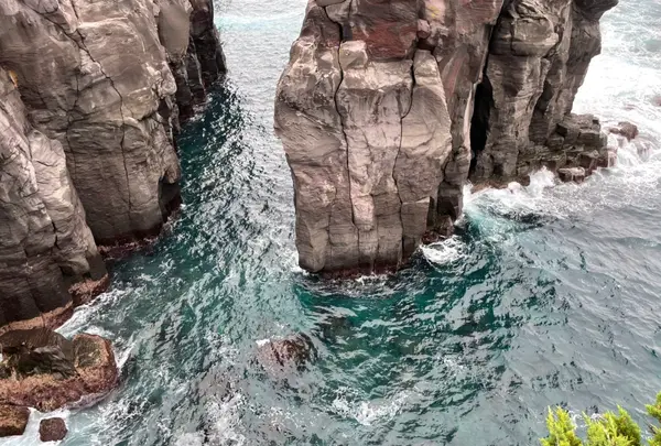 城ヶ崎海岸の写真・動画_image_457799