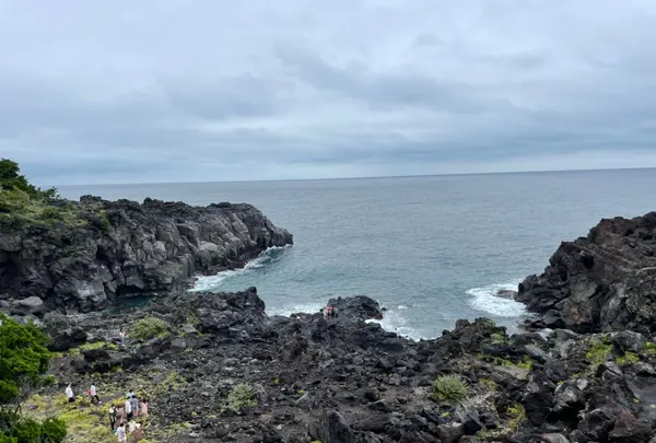 城ヶ崎海岸の写真・動画_image_457800
