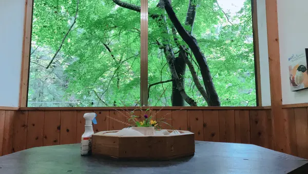Jurin's Geoの写真・動画_image_458161