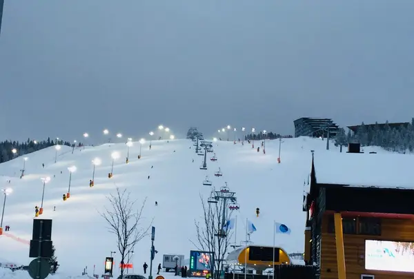 レヴィの写真・動画_image_458283