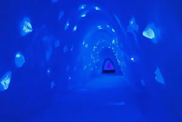 Snow Villageの写真・動画_image_458316