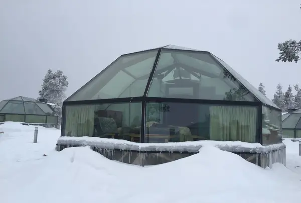 ゴールデンクラウン レビン イグルートの写真・動画_image_458329