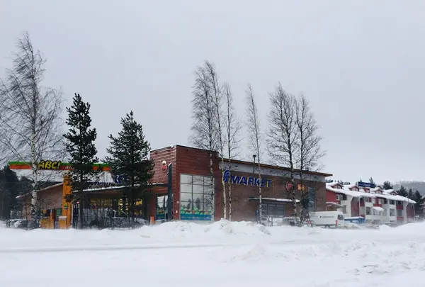 レヴィの写真・動画_image_458330