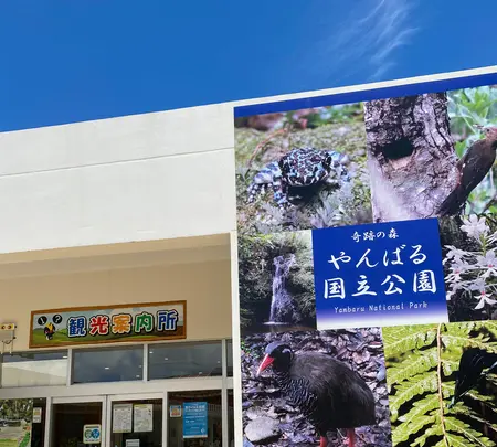 道の駅 ゆいゆい国頭の写真・動画_image_458368