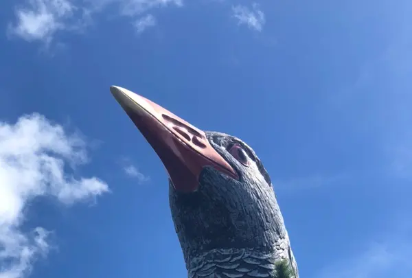 ヤンバルクイナ展望台の写真・動画_image_458377