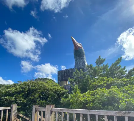 ヤンバルクイナ展望台の写真・動画_image_458379