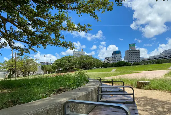 新都心公園の写真・動画_image_458395
