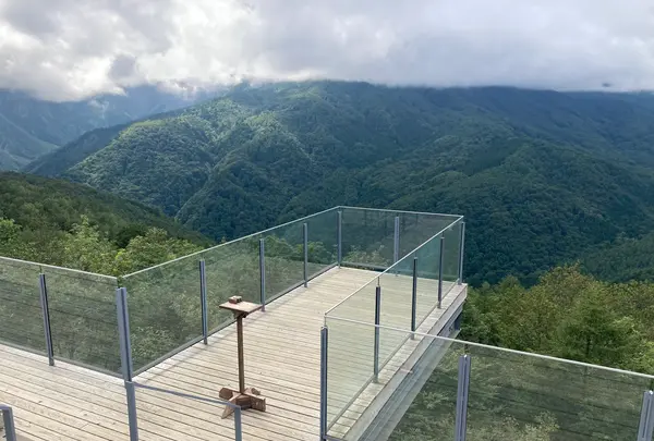 city bakeryの写真・動画_image_458441