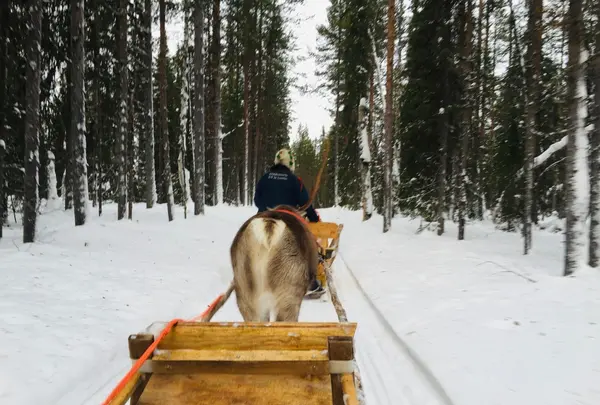 Myllyjoentie 2の写真・動画_image_458468