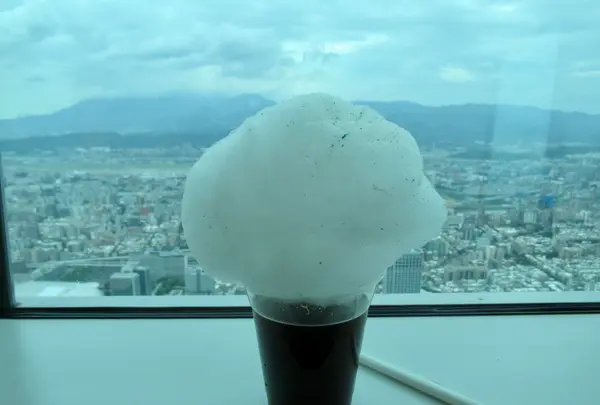 台北101展望台の写真・動画_image_458487