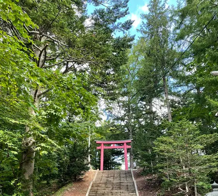 倶知安神社の写真・動画_image_458538