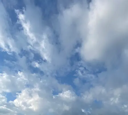 レークヒル・ファームの写真・動画_image_458557