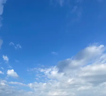 （株）わかさいも本舗 洞爺湖本店の写真・動画_image_458566