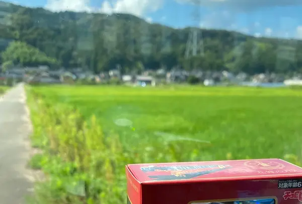 花嫁のれんの写真・動画_image_458667