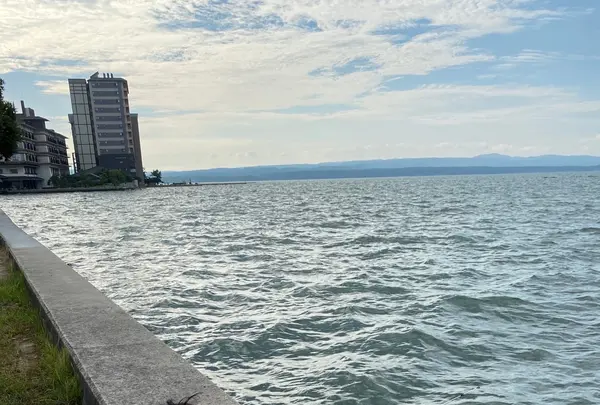 あえの風の写真・動画_image_458675